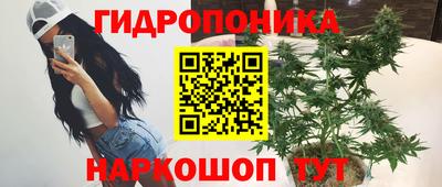дживик Заводоуковск