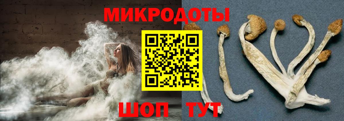 Кушва  Галлюциногенные грибы GOLDEN TEACHER  Вход с VPN 